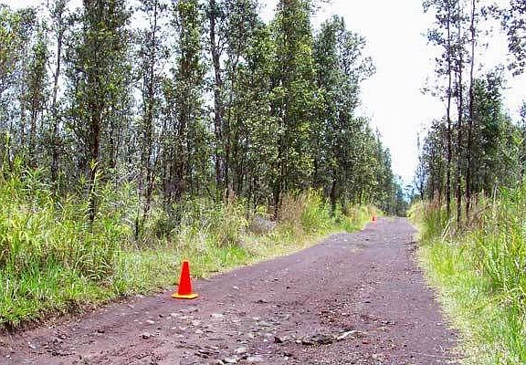 Looking down Hopue Road towards Wao Kele (Road G). Lot 3180 to the left.