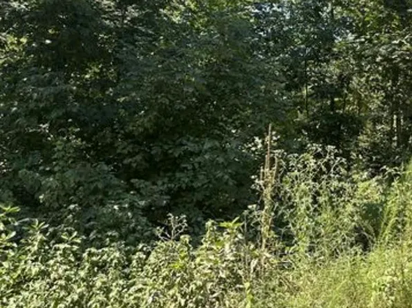 Compton Rd, Athens, AL 35613