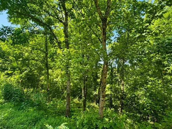 0 Harbor Pointe Ln Lot 25, Smithville, TN 37166