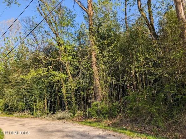 Lenoir Ave S, Rockwood, TN 37854