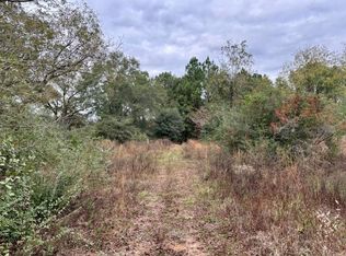 29597 Hammett Rd, Andalusia, AL 36421