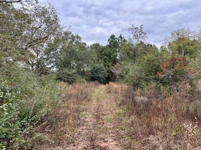 29597 Hammett Rd, Andalusia, AL, 36421