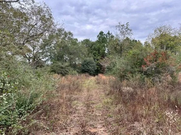 29597 Hammett Rd, Andalusia, AL 36421