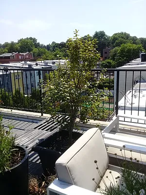 Rented by Brooklyn Property Group LLC | media 59