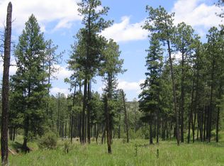 Camp Tall Pines Rd, Weed, NM 88354
