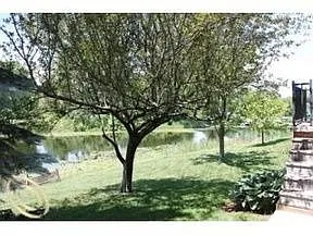10403 Lee Ann Ct photo 1