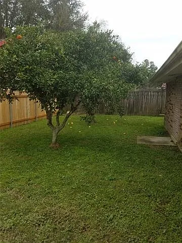 308 Camelia Ave — Photo 17