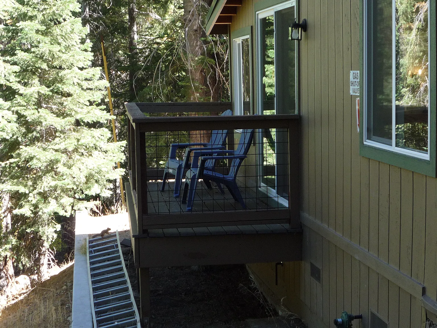 3 bed, 1500 sqft, $3,500 — Photo 4