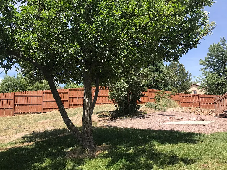 5292 Cracker Barrel Cir — Photo 33