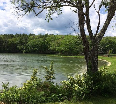 View from southern boundary