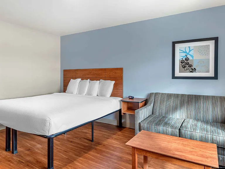 Studio Suite - 1 King Bed