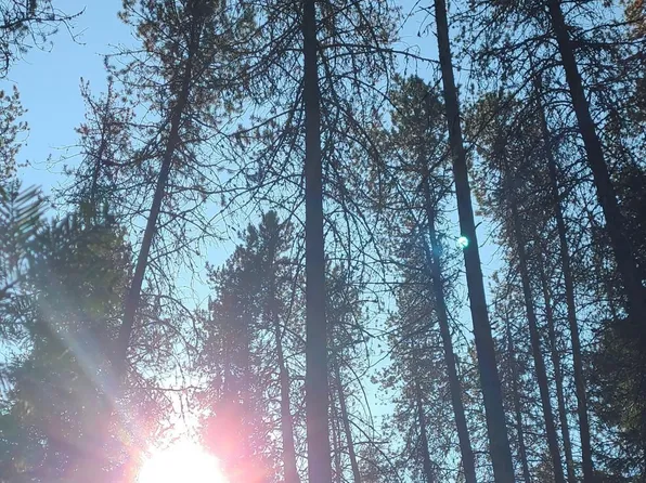 Nna Sleepy Hollow Rd Lot 2, Oldtown, ID 83822