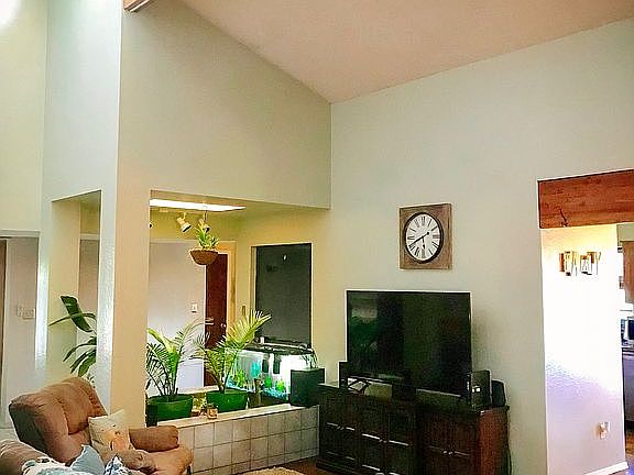 Vaulted Ceiling Living Room