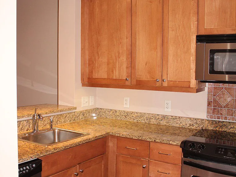 105 Christina Landing Dr #1703 — Photo 10