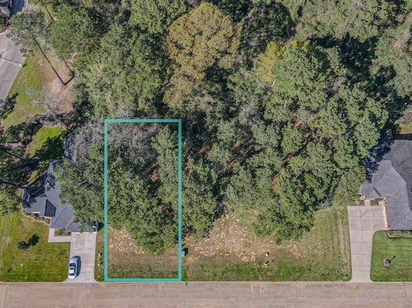 211 Wyndemere Drive, Montgomery, TX 77356