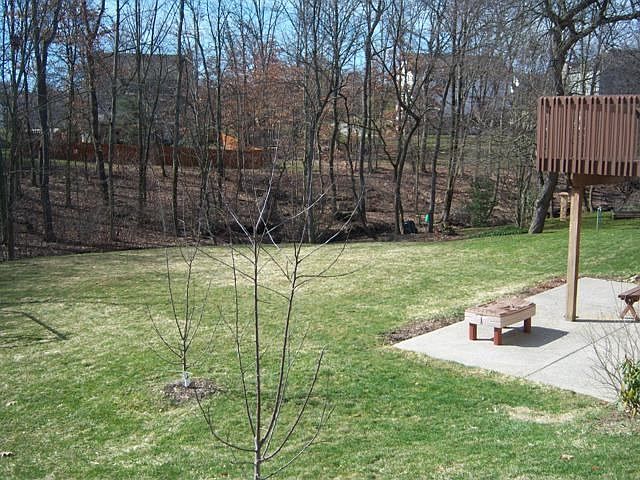 2nd image of 315 Hummingbird Cir
