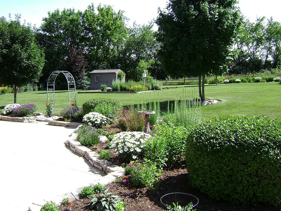 backyard view