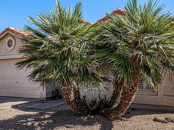 4th image of 1757 E PALM BEACH Drive