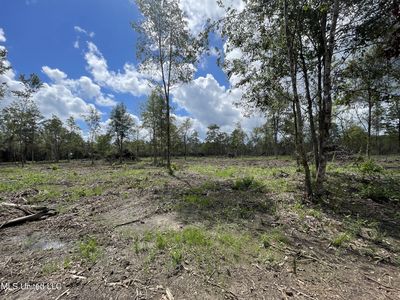 12 Poticaw Bayou Rd, Vancleave, MS, 39565