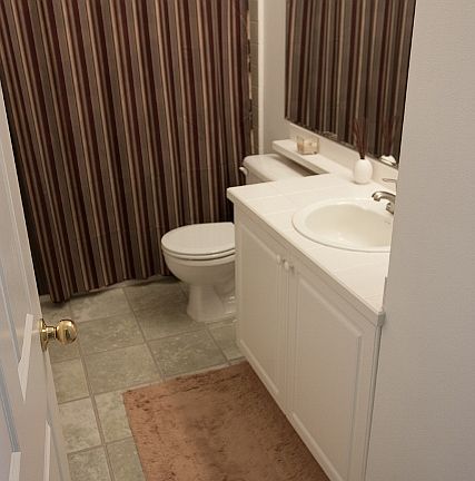 Hall bathroom