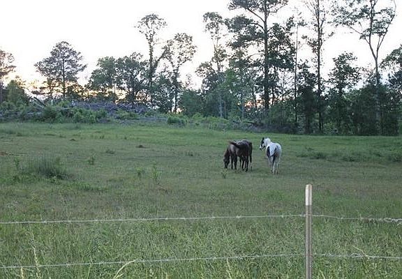 4th image of 1369 County Road 142