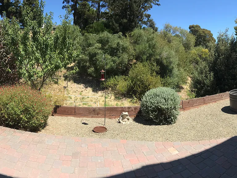 Rankin Way — Photo 8