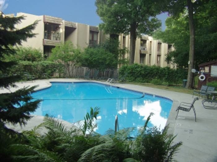 Beautiful Outdoor Pool