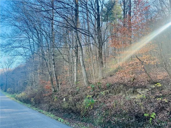 0 W Cheningo Rd, Truxton, NY 13158