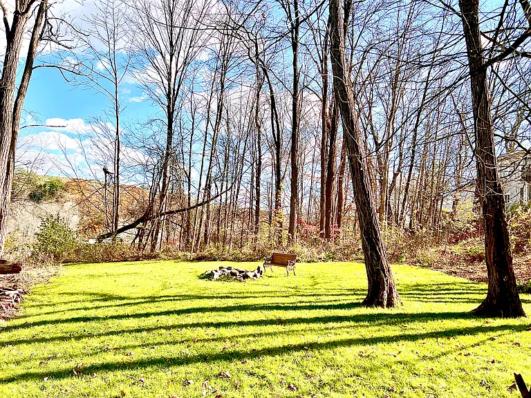 Back yard