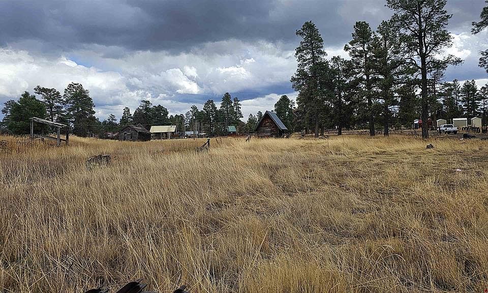 4500-4500A W Us Highway 160, Pagosa Springs, CO 81147 | MLS #809079