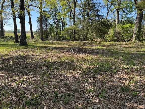 4th image of 785 Lake Hardeman Rd