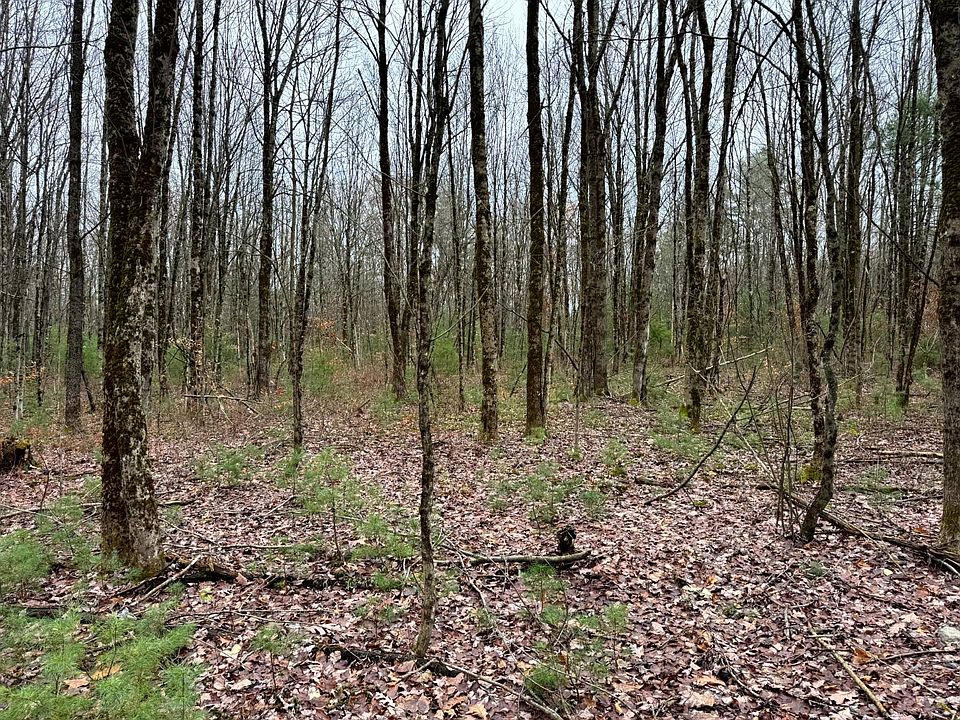 1st image of 1.3 Littlefield Rd #3