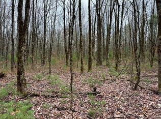 1.3 Littlefield Rd #3, Camden, NY 13316