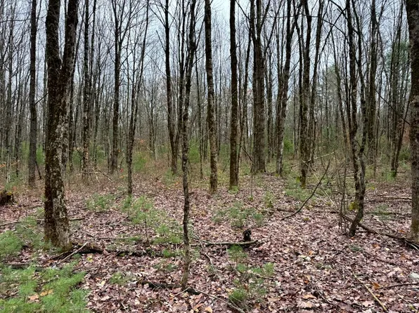 1.3 Littlefield Rd #3, Camden, NY 13316