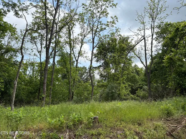Grubb Rd, Lenoir City, TN 37771