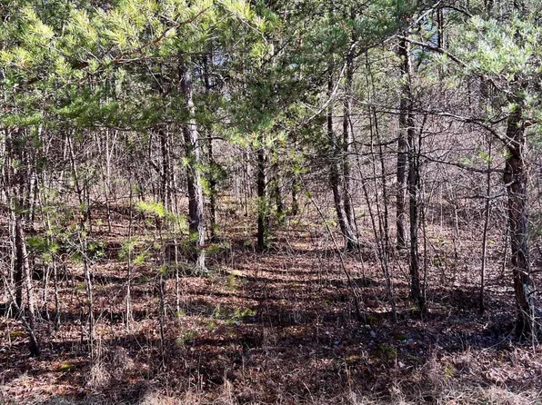 166 Windsor Rd, Crossville, TN 38558