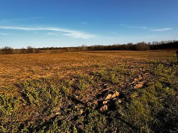 32 / Acres Rd NE #800, Lowry City, MO 64763