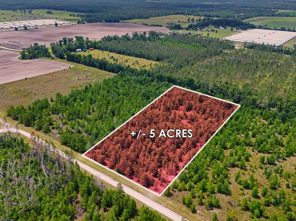 NE Loblolly Trl, Lee, FL 32059
