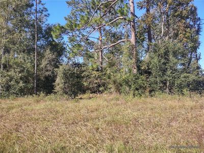 NE 140th Ave LOT 1, Williston, FL, 32696