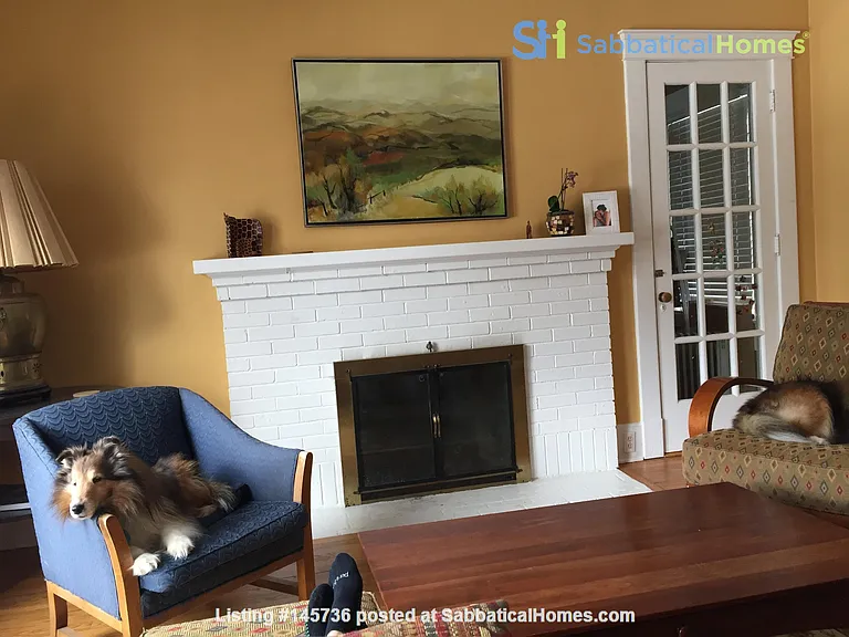 1055 Lincoln Ave — Photo 4