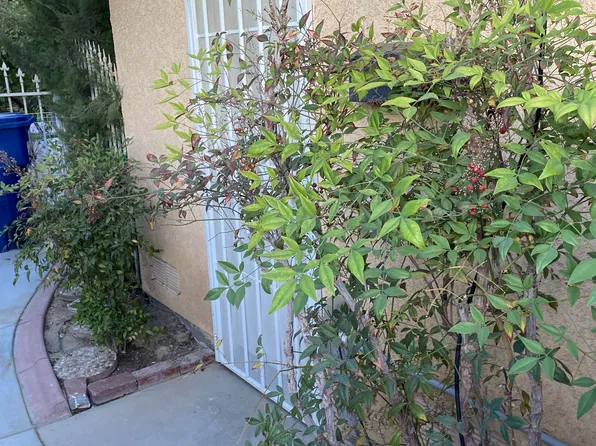 (undisclosed Address), Palmdale, CA 93550