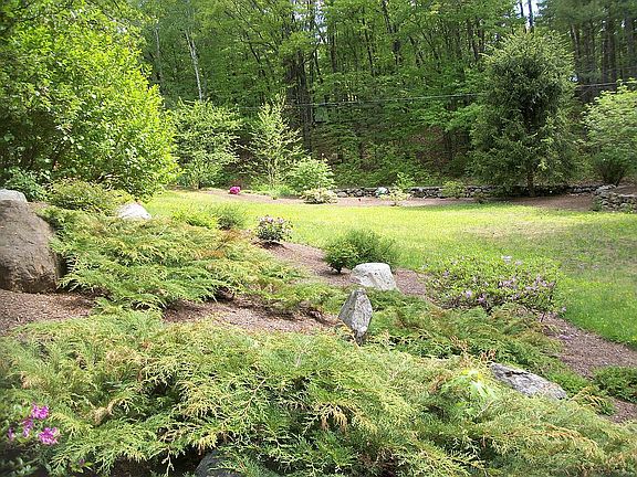 Front yard 