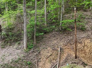 33 Black Walnut Flats Rd, Sevierville, TN 37862
