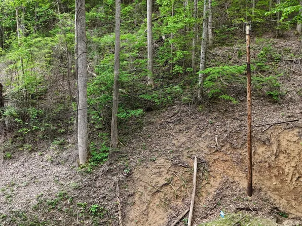 33 Black Walnut Flats Rd, Sevierville, TN 37862