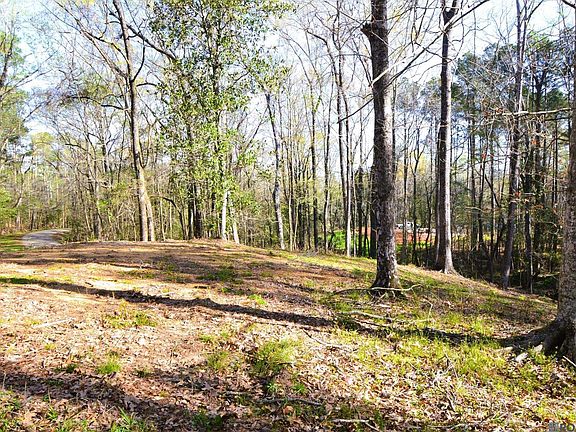 3rd image of 12168 Lake Rosemound Rd