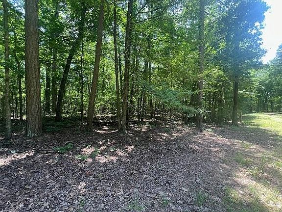 2nd image of 123 McReynolds Ln #123