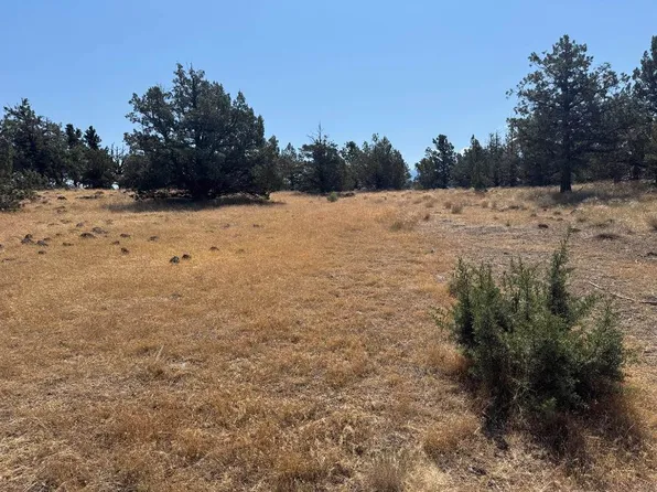 Lot 124 Juniper Peak Unit 3, Weed, CA 96094
