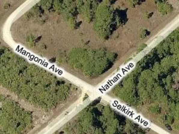 344 Nathan Ave, Lehigh Acres, FL 33974