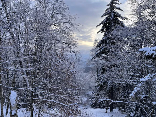 448 N Westridge Rd, Slatyfork, WV 26291