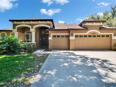 15724 Ibisridge Dr, Lithia, FL, 33547